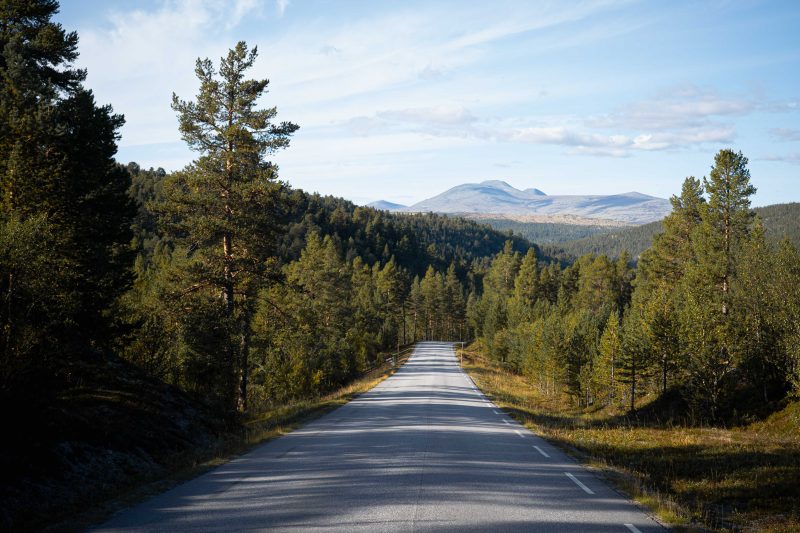 Endlich wieder Norwegen!