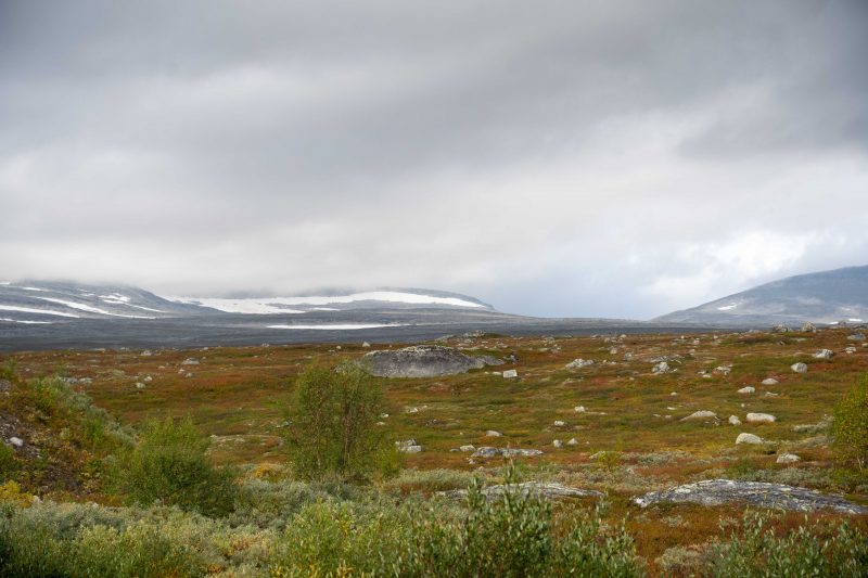 Saltfjellet