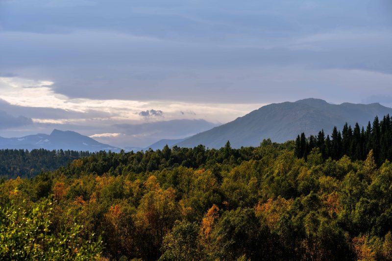 Natur pur