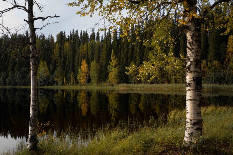 Badesee bei Stensele