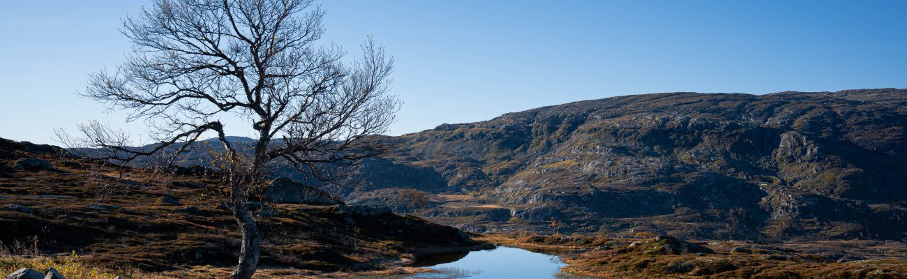 Skandinavien im Herbst 2025 – Teil 3