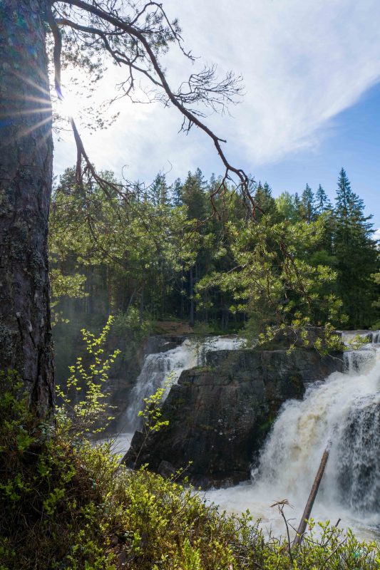 Høgfoss