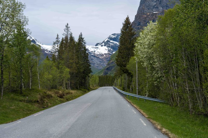 Auf dem Gaularfjellet