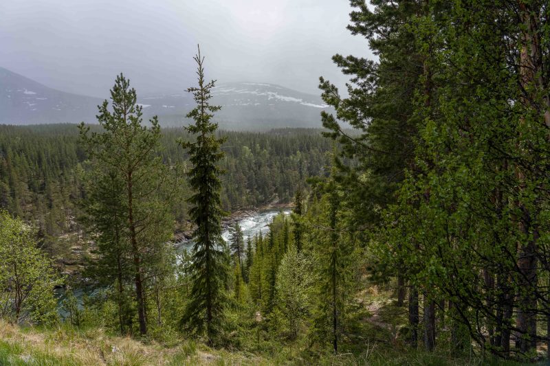 Nationale Turistveg Valdresflye