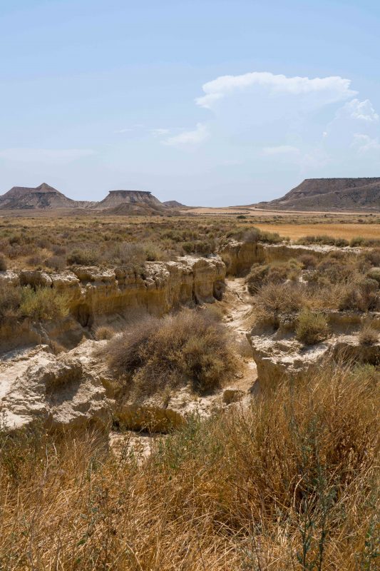 Bardenas Reales