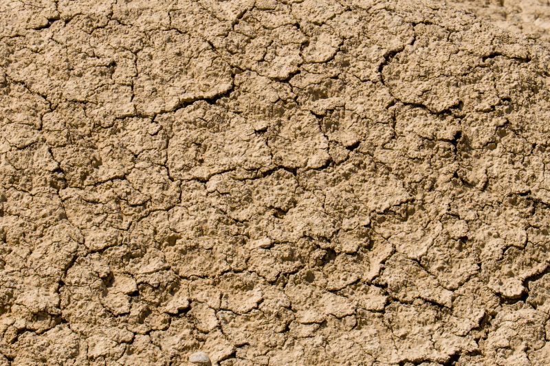 Bardenas Reales