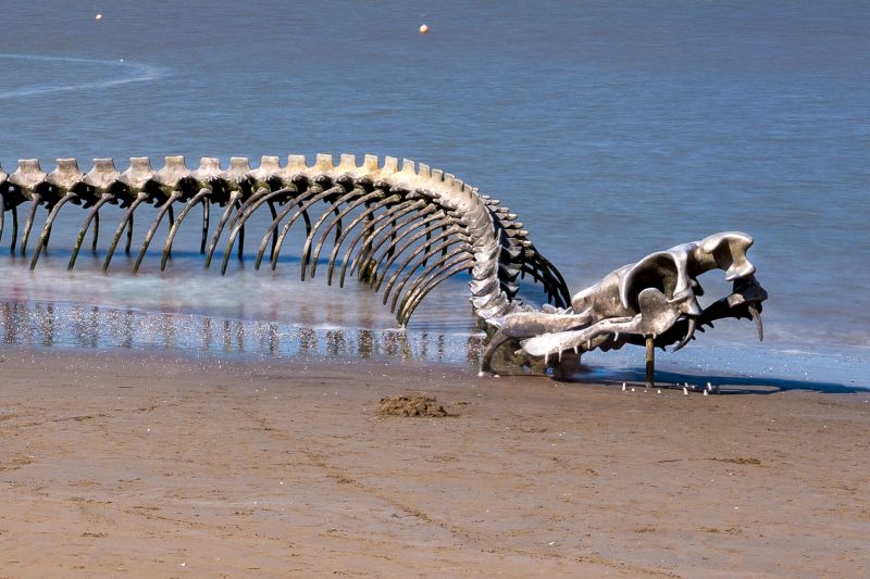 Serpent d'Océan in Saint-Pére-en-Retz