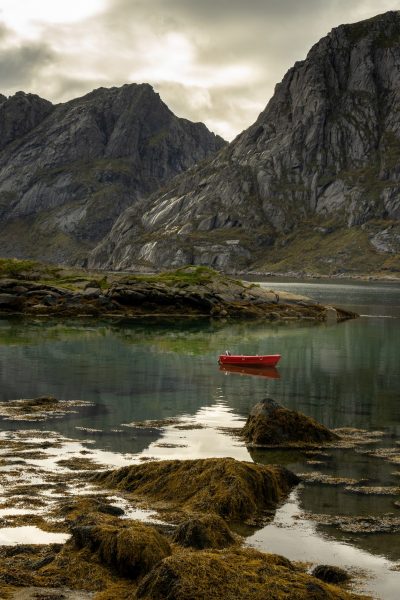 Coastlife Lofoten