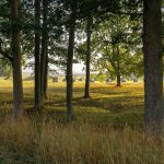 Anundshög, Schiffssetzung Anundshög, Schiffssetzung