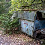 Kyrkömosse Kyrkömosse