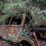 Kyrkömosse Kyrkömosse