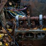 Kyrkömosse Kyrkömosse