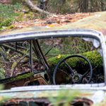 Kyrkömosse Kyrkömosse