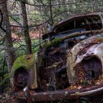 Kyrkömosse Kyrkömosse