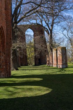 Klosterruine Eldena Klosterruine Eldena