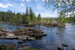 Rasteplass Namsskogen