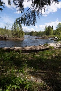 Rasteplass Namsskogen