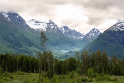 Zwischen Utvik und Byrkjelo