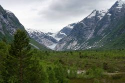Blick auf den Niegardsbreen