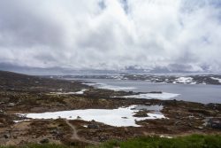Hardanger Vidda