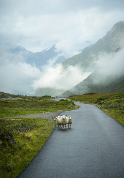 Gamle Strynefjellsvegen, Fjellpolizei