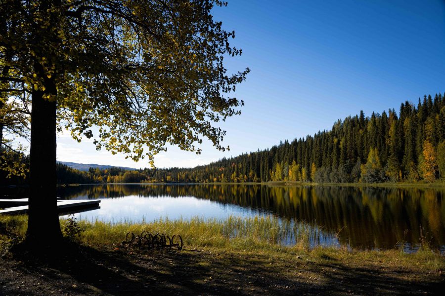 Badesee bei Stensele