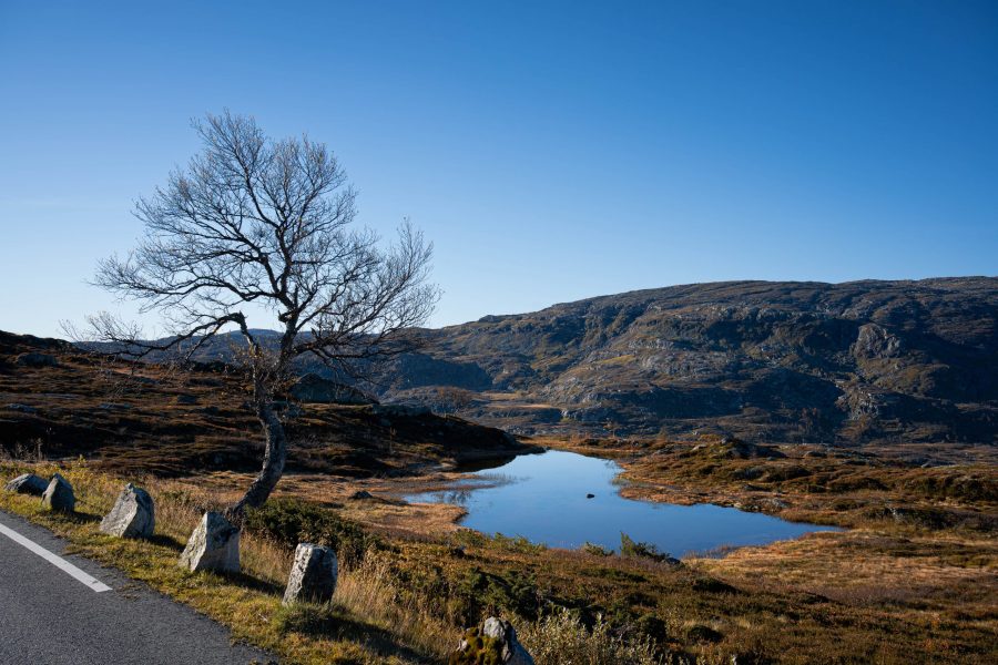 Skandinavien im Herbst
